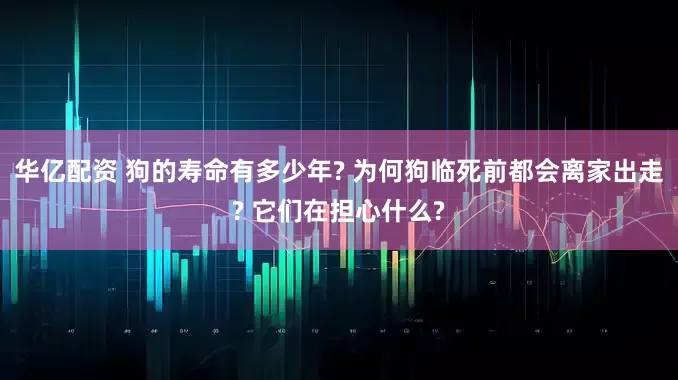 华亿配资 狗的寿命有多少年? 为何狗临死前都会离家出走? 它们在担心什么?